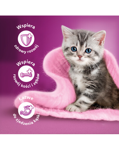WHISKAS Junior 52x85g Vlhké krmivo pro koťata v želé s drůbežím masem: kuřecí maso, krůtí maso