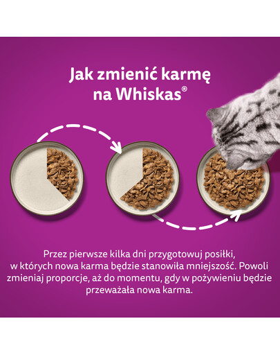 WHISKAS Junior 52x85g Vlhké krmivo pro koťata v želé s drůbežím masem: kuřecí maso, krůtí maso