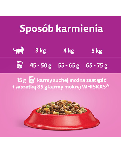WHISKAS Adult 48x85g Vlhké krmivo Fish Delicacies pro dospělé kočky v želé s: losos, tuňák, treska, bílá ryba