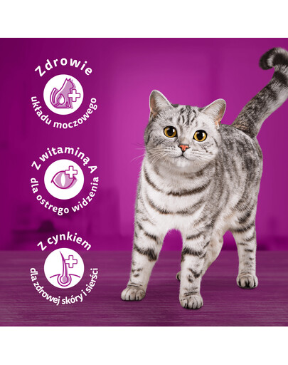WHISKAS Adult 48x85g Vlhké krmivo Fish Delicacies pro dospělé kočky v želé s: losos, tuňák, treska, bílá ryba