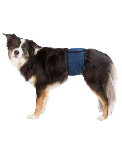 TRIXIE Podbřišní pás pro psy, S: 29-37 cm