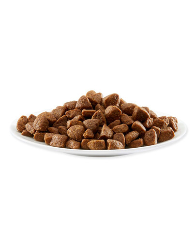 APPLAWS Dog Adult Small & Medium Breed Chicken 7,5 kg