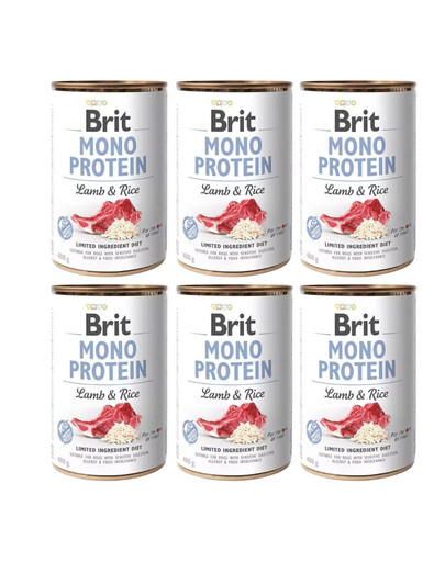 BRIT Mono Protein Lamb & Rice 6x400 g