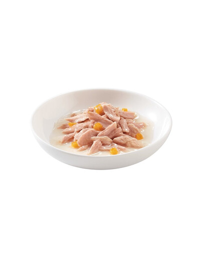 SCHESIR tuňák a dýně ve vývaru 70G
