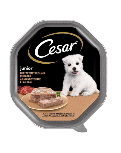 CESAR Junior Krůtí a telecí 150 g