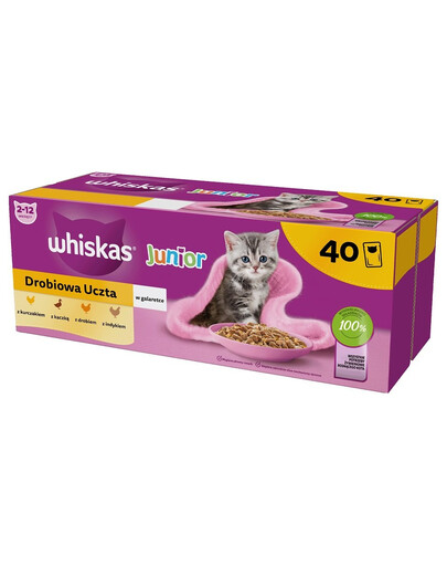 WHISKAS Junior Drůbeží hody 40x85g kapsičky s kuřecím, kachním, drůbežím a krůtím v želé