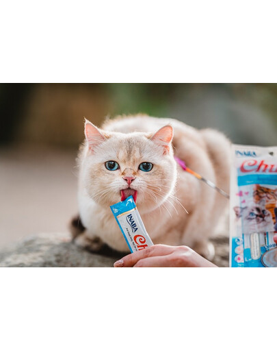INABA Churu Cat Tuna 4x14g