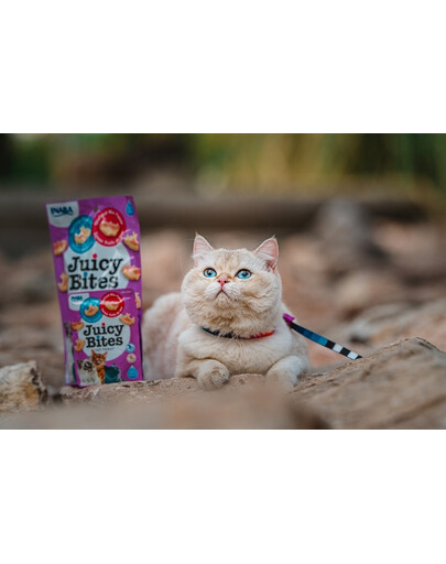 INABA Churu Cat Juicy Bites Shrimp&Seafood Flavor 3x11,3g