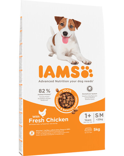 Levně IAMS For Vitality Adult Small & Medium Breed Chicken 5 kg