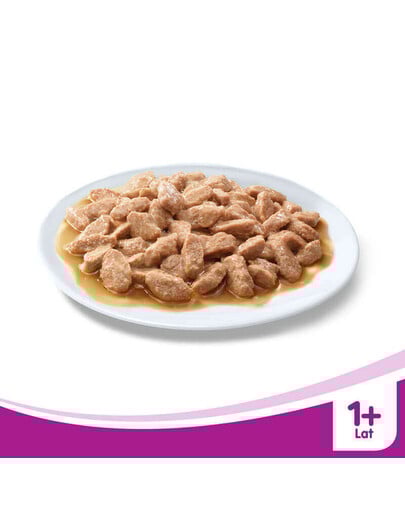 WHISKAS kapsa losos v omáčce 100 g
