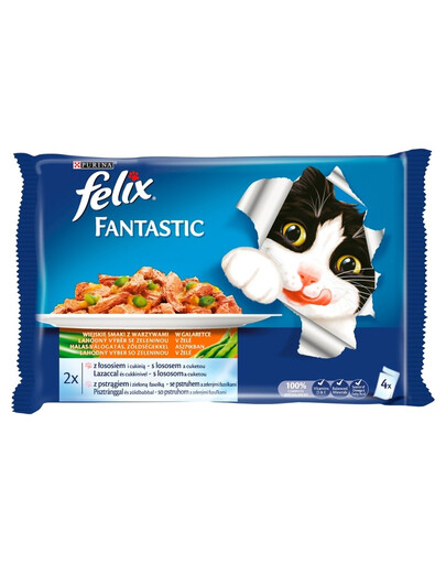 FELIX Fantastic oceánská hostina losos a pstruh v rosolu 40 x100g