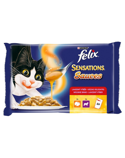 FELIX Sensations  jehněčí krůtí 40 x 100g