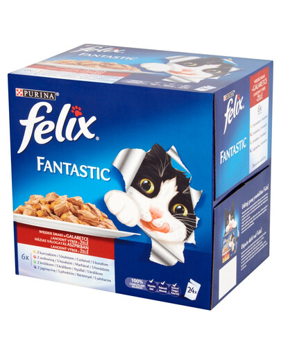 FELIX Fantastic Chutě venkova v želé 24X100 g