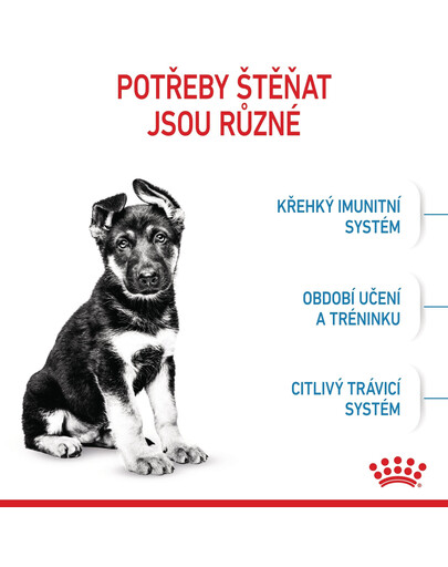 ROYAL CANIN Maxi Puppy 15 kg granule pro štěňata velkých plemen