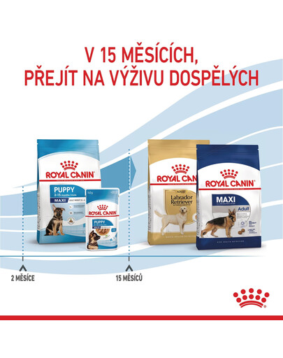 ROYAL CANIN Maxi Puppy 15 kg granule pro štěňata velkých plemen