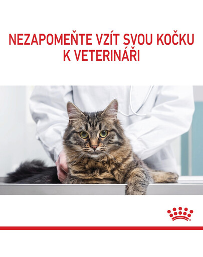 ROYAL CANIN Digestive care 10 kg granule pro kočky na podporu zdravého trávení