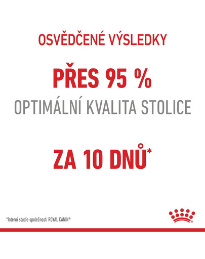 ROYAL CANIN Digestive care 10 kg granule pro kočky na podporu zdravého trávení