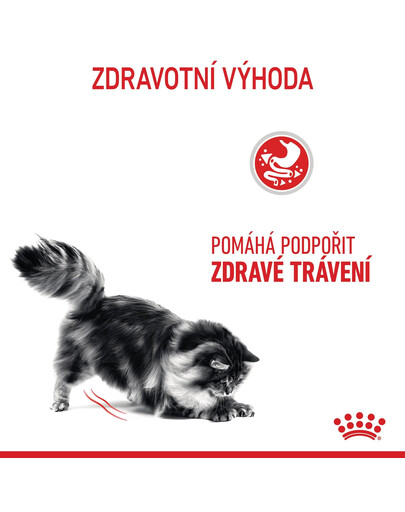 ROYAL CANIN Digestive care 10 kg granule pro kočky na podporu zdravého trávení