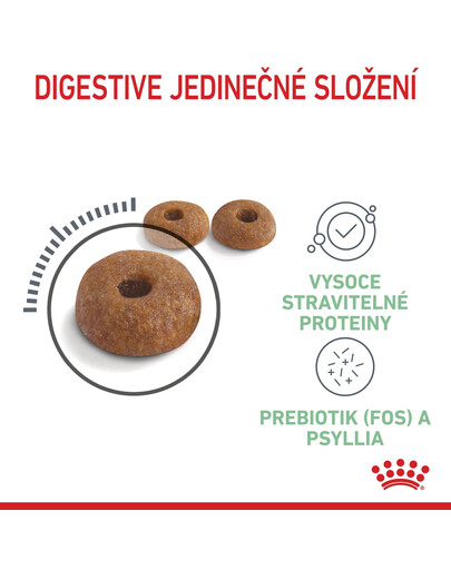 ROYAL CANIN Digestive care 10 kg granule pro kočky na podporu zdravého trávení