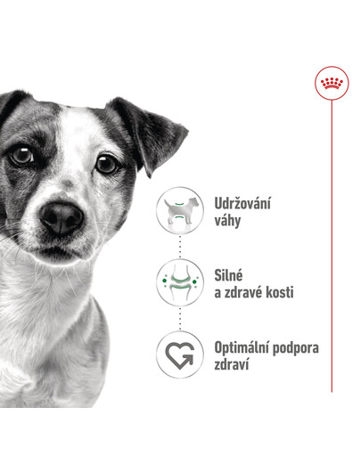 ROYAL CANIN Mini Adult 4kg granule pro dospělé psy malých plemen