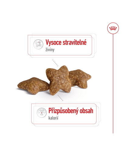 ROYAL CANIN Mini Adult 4kg granule pro dospělé psy malých plemen