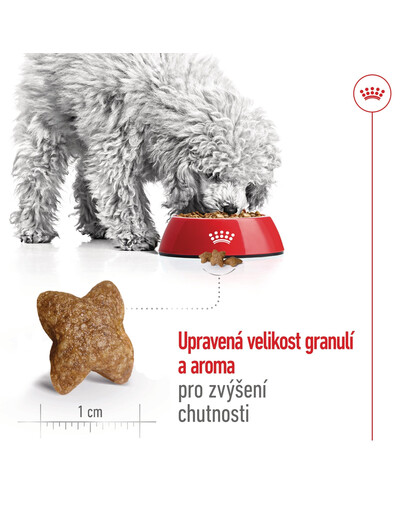 ROYAL CANIN Mini Adult 4kg granule pro dospělé psy malých plemen