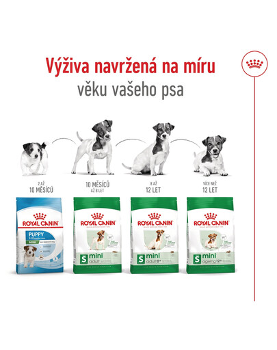 ROYAL CANIN Mini Adult 4kg granule pro dospělé psy malých plemen
