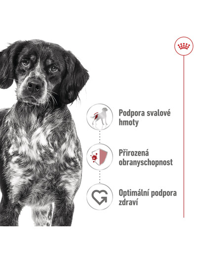 ROYAL CANIN Medium Adult 4kg granule pro dospělé psy středních plemen starší 12 měsíců