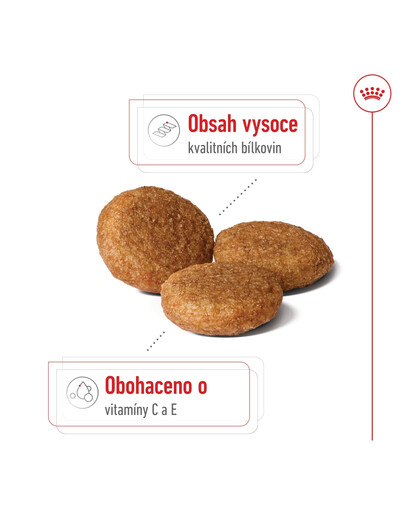 ROYAL CANIN Medium Adult 4kg granule pro dospělé psy středních plemen starší 12 měsíců