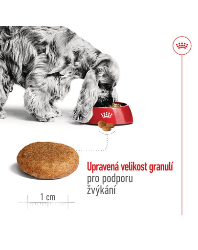ROYAL CANIN Medium Adult 4kg granule pro dospělé psy středních plemen starší 12 měsíců