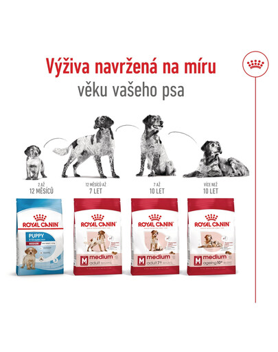ROYAL CANIN Medium Adult 4kg granule pro dospělé psy středních plemen starší 12 měsíců