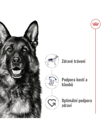 ROYAL CANIN Maxi Adult 15 kg granule pro dospělé  psy velkých  plemen starší 15 měsíců