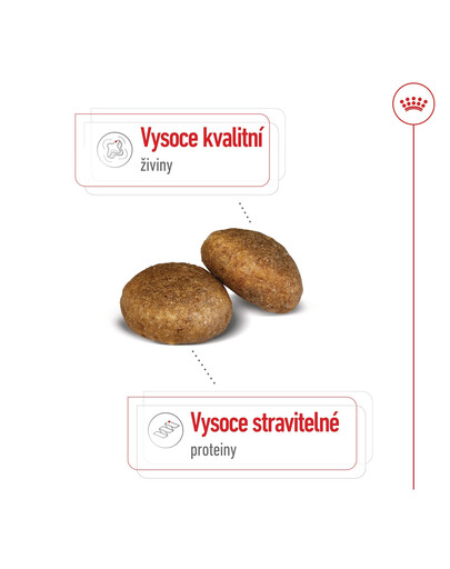 ROYAL CANIN Maxi Adult 15 kg granule pro dospělé  psy velkých  plemen starší 15 měsíců