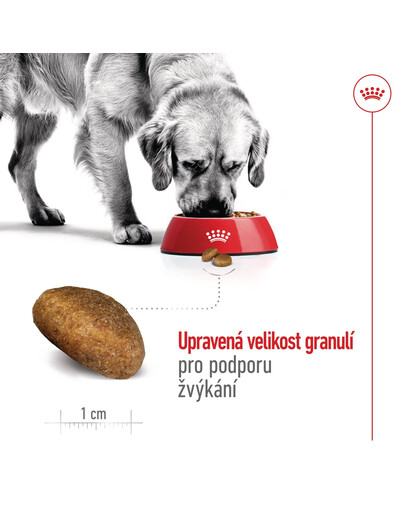 ROYAL CANIN Maxi Adult 15 kg granule pro dospělé  psy velkých  plemen starší 15 měsíců