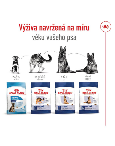 ROYAL CANIN Maxi Adult 15 kg granule pro dospělé  psy velkých  plemen starší 15 měsíců