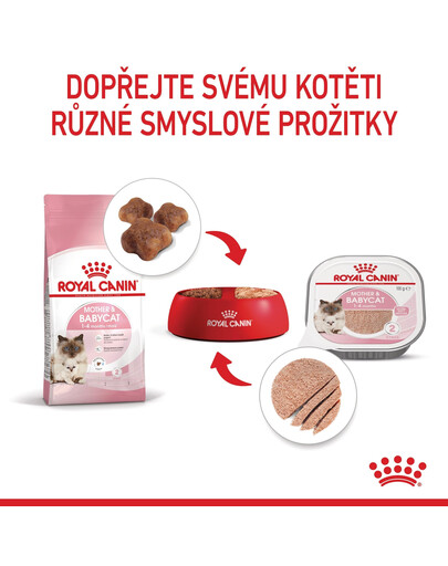 ROYAL CANIN Instinctive babycat 195 g Can konzerva pro kojící kočky a koťata