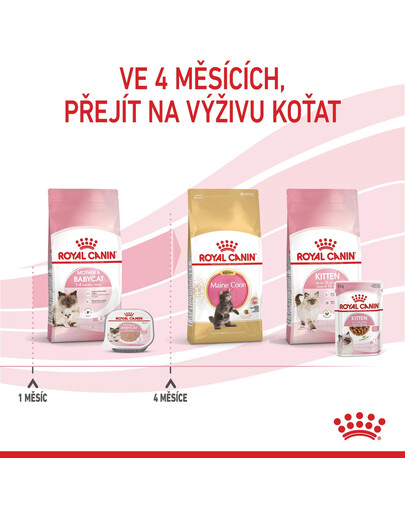 ROYAL CANIN Instinctive babycat 195 g Can konzerva pro kojící kočky a koťata