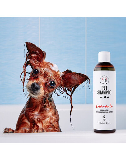 PETS Shampoo Camomile šampon pro citlivou pokožku 250 ml