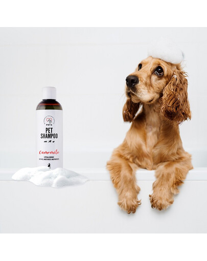 PETS Shampoo Camomile šampon pro citlivou pokožku 250 ml
