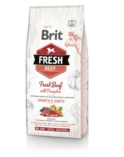 BRIT Fresh Beef & Pumpkin Puppy Large 12 kg