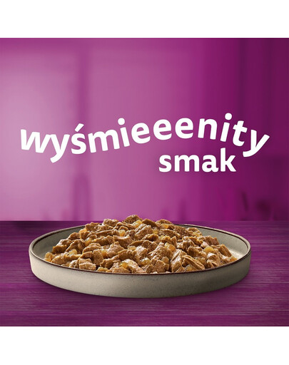 WHISKAS  Adult krmivo pro dospělé kočky v želé 40x85g