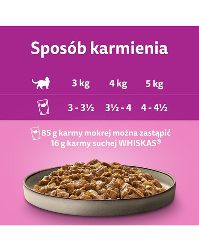 WHISKAS  Adult krmivo pro dospělé kočky v želé 40x85g