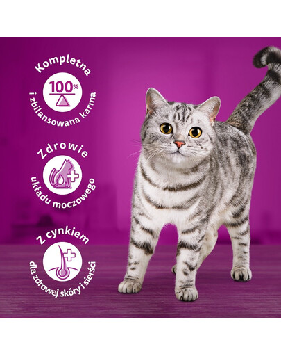 WHISKAS  Adult krmivo pro dospělé kočky v želé 40x85g