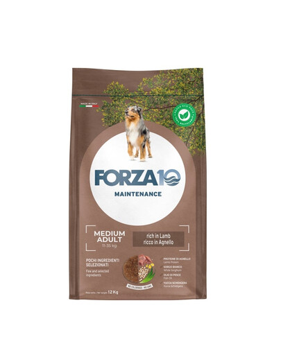 FORZA10 Medium Adult Maintenance Lamb Rice 12kg