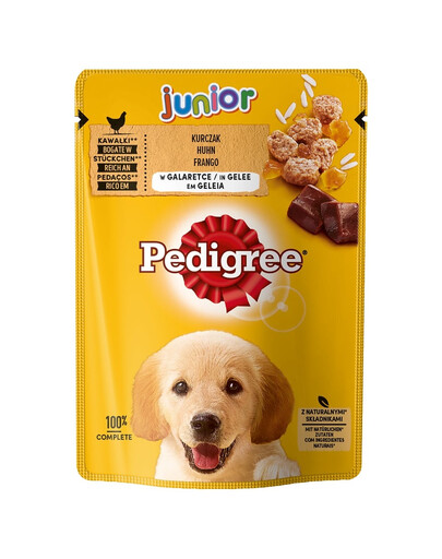 PEDIGREE Junior s kuřecím masem a rýží v želé 100 g x 24