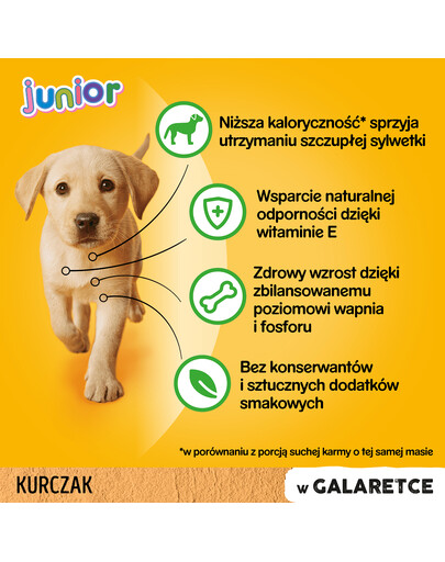 PEDIGREE Junior s kuřecím masem a rýží v želé 100 g x 24
