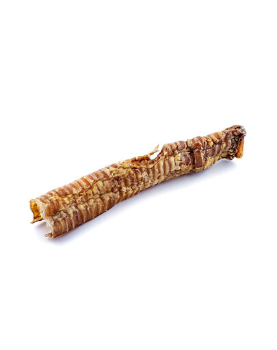 MACED Hovězí průdušnice 25cm - přírodní pamlsek pro psy