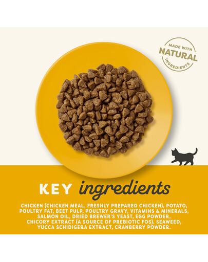 APPLAWS Cat Kitten Chicken 2 kg bezobilné krmivo s kuřecím masem pro koťata