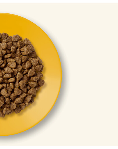 APPLAWS Cat Kitten Chicken 2 kg bezobilné krmivo s kuřecím masem pro koťata