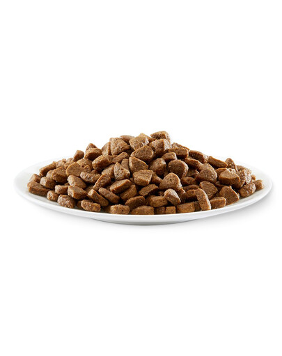 APPLAWS Cat Kitten Chicken 2 kg bezobilné krmivo s kuřecím masem pro koťata